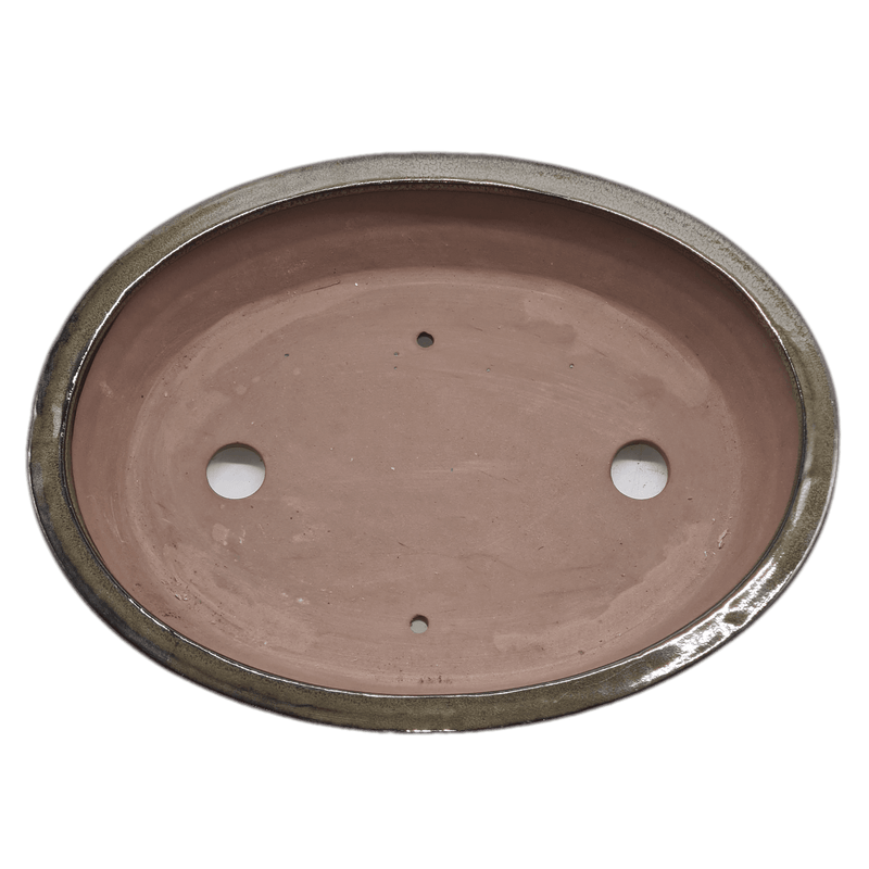 31cm Glazed Bonsai Pot | Oval | 31cm x 24cm x 7cm | Green