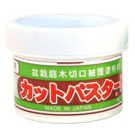 Japanese Bonsai Cut Paste | 190g Tub | White Top For Deciduous & Tropical Trees