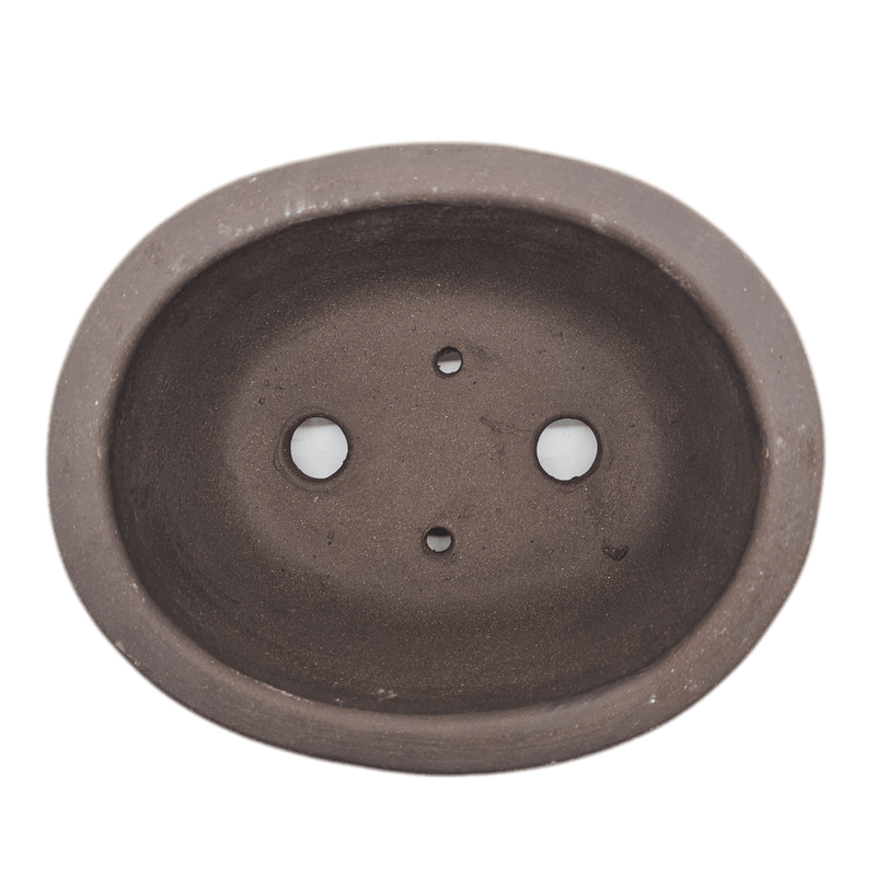 Unglazed Bonsai Pot | Oval | 16cm x 12cm x 5cm