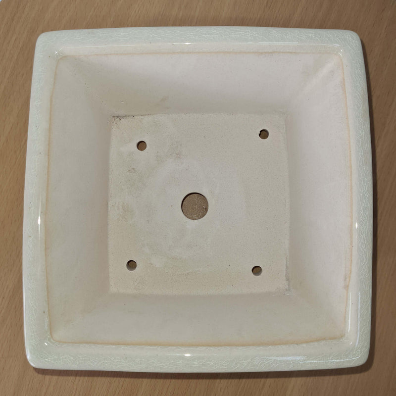 19cm Premium Glazed Bonsai Pot | Square | 19cm x 19cm x 10cm | White