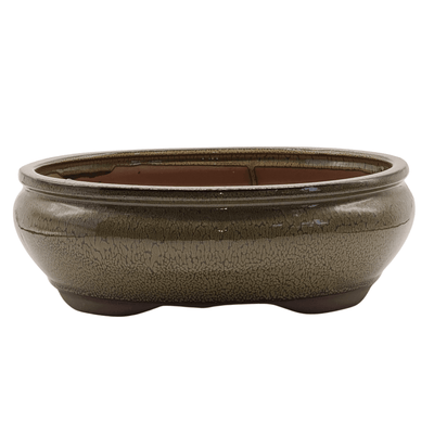 31cm Glazed Bonsai Pot | Oval | 31cm x 25cm x 11cm | Green