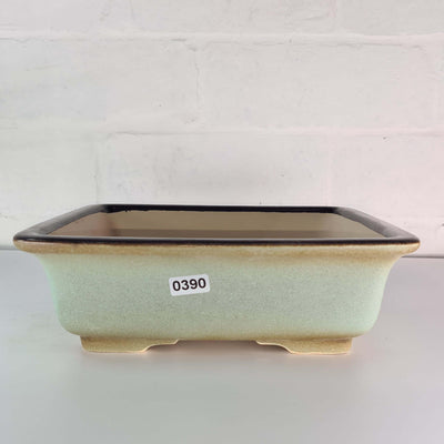 22cm Premium Glazed Bonsai Pot | Square | 22cm x 22cm x 6cm | Green
