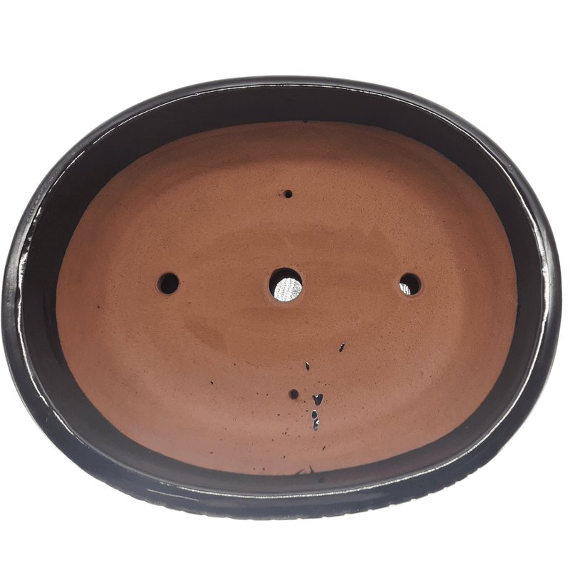 37cm Glazed Bonsai Pot | Oval | 37cm x 30cm x 9cm | Black | With Drip Tray