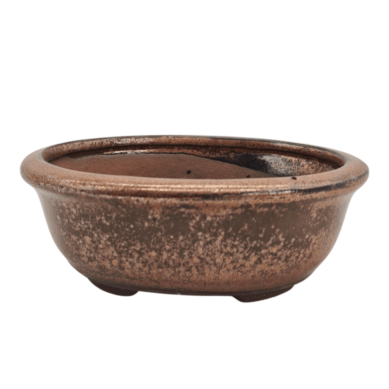 13cm Glazed Bonsai Pot | Oval | 13cm x 10cm x 5cm | Bronze