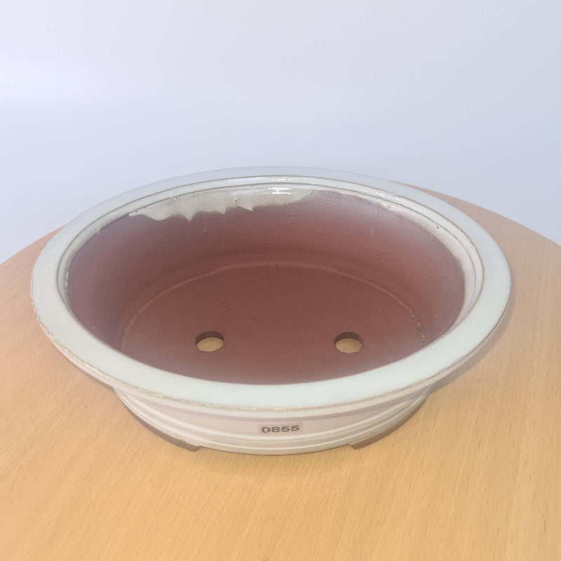 29cm Glazed Bonsai Pot | Oval | 29cm x 23cm x 9cm | White