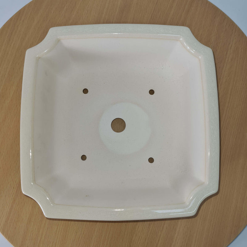 23cm Premium Glazed Bonsai Pot | Square | 23cm x 23cm x 7cm | White