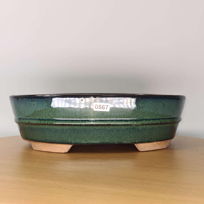 31cm Glazed Bonsai Pot | Oval | 31cm x 24cm x 8cm | Green