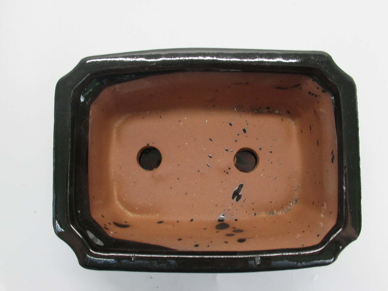 20cm Glazed Bonsai Pot | Rectangle | 20cm x 15cm x 8cm | Black | With drip tray