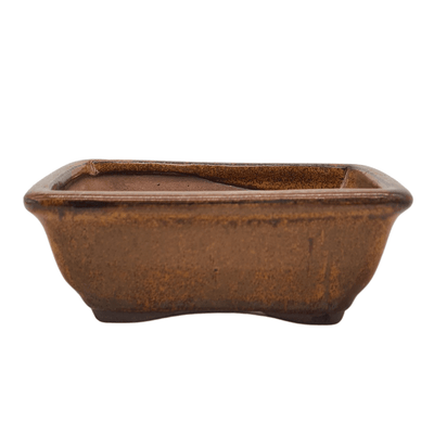 13cm Glazed Bonsai Pot | Rectangle | 13cm x 10cm x 5cm | Bronze