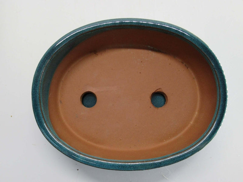 21cm Glazed Bonsai Pot | Oval | 21cm x 17cm x 6cm | Turquoise | With drip tray