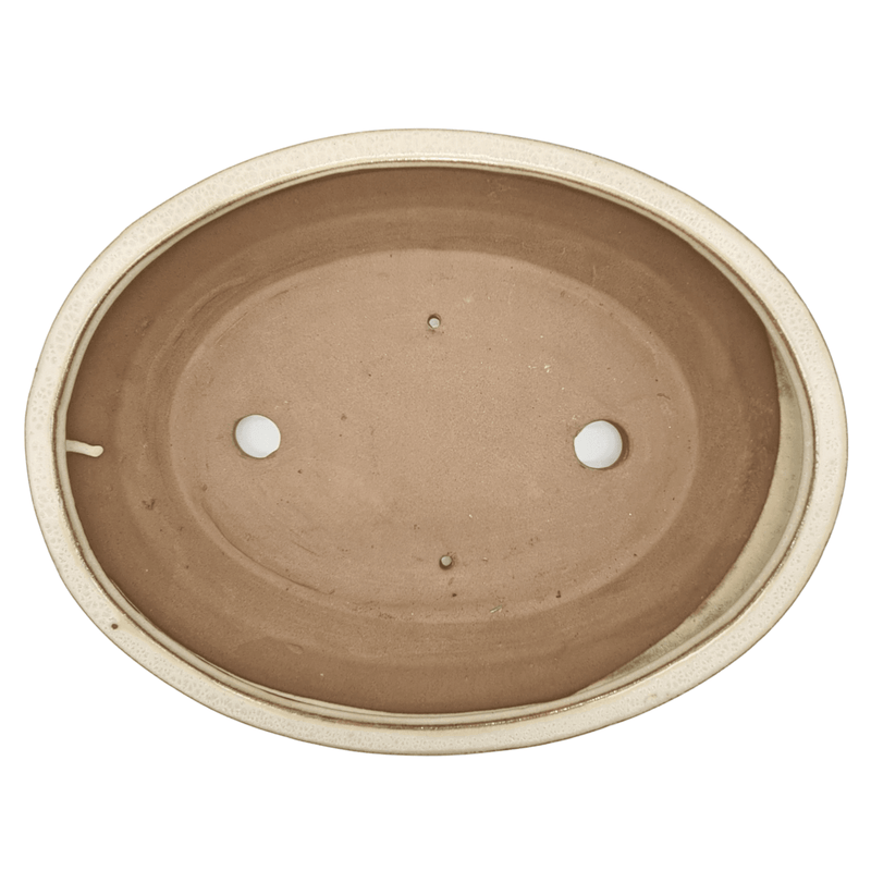 31cm Glazed Bonsai Pot | Oval | 31cm x 24cm x 7cm | White