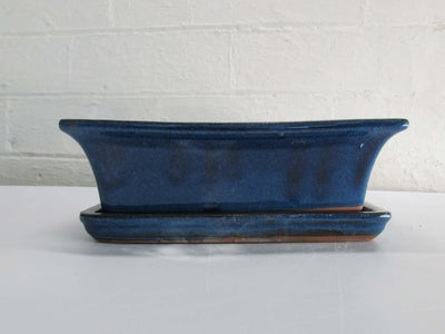 23cm Glazed Bonsai Pot | Rectangle | 23cm x 18cm x 7cm | Blue | With drip tray