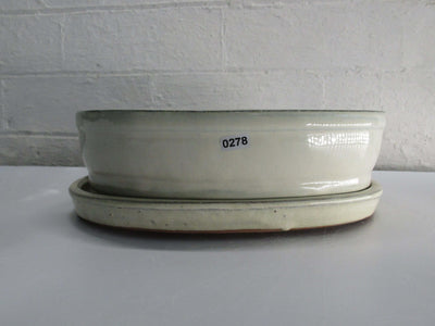 26cm Glazed Bonsai Pot | Oval | 26cm x 20cm x 8cm | White | With drip tray