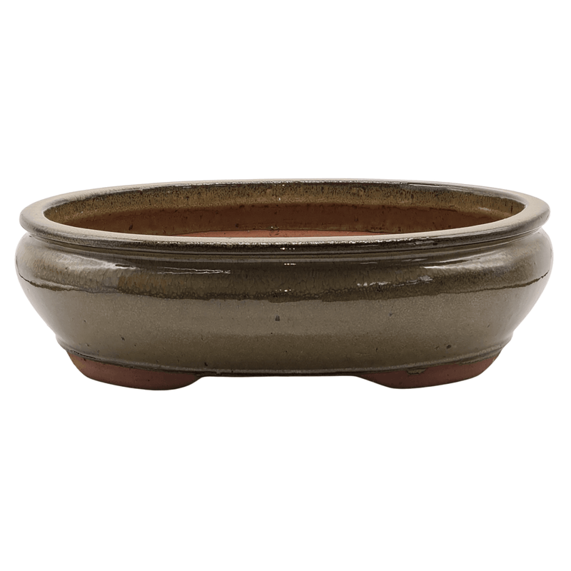 37cm Glazed Bonsai Pot | Oval | 37cm x 29cm x 10cm | Green